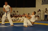 KARATE (88)